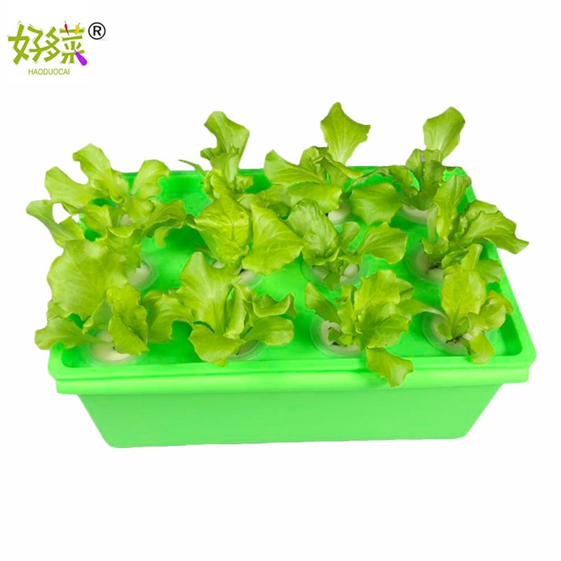 箱式无土栽培设备 水培蔬菜 阳台种植花卉 自动循环水耕机 花盆