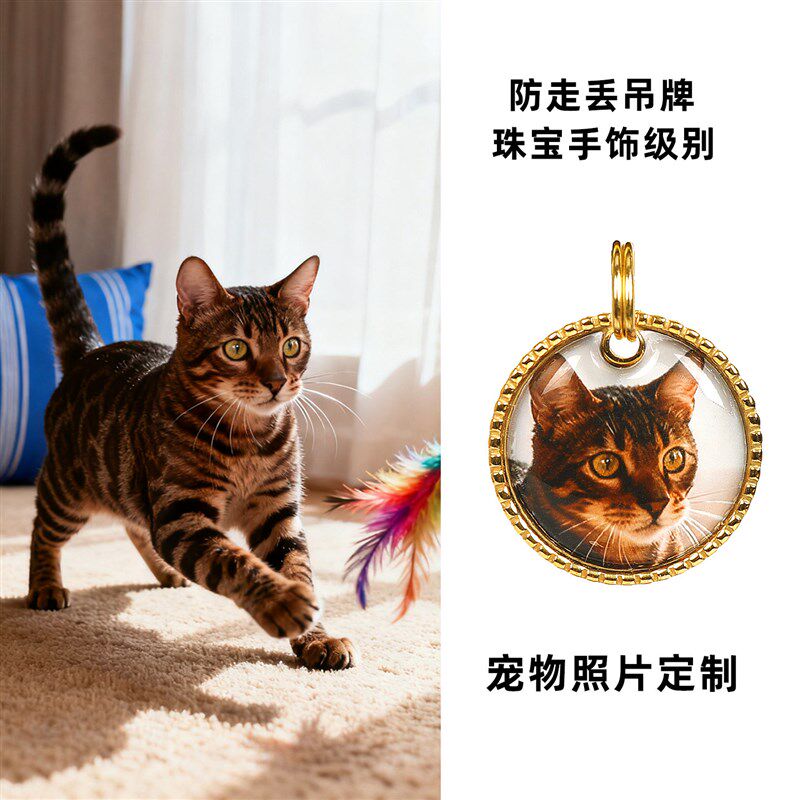 宠物照片狗牌定制猫咪挂牌刻x字防走丢金色泰迪比熊铭牌定做饰品