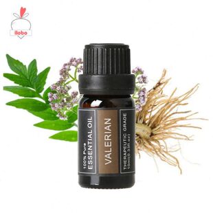 Valerian缬草香薰精油加湿器扩香单方 静心凝神ilobo 10ml