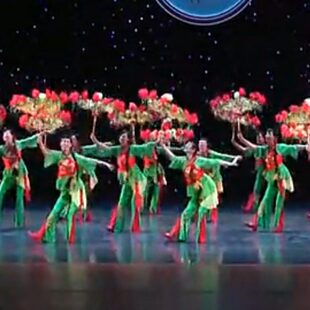 俏花伞舞蹈道具舞台演出表演装饰玫瑰伞秧歌欢天喜地道具花伞包邮