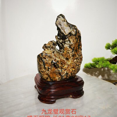 【九龙璧景观石-无底座】u奇石观光石,鱼缸盆景置景石,规格见图