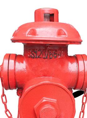 SS100/65-栓1地.6地上式消火/上/无品牌/室外消火栓/室外消防栓栓