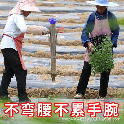 种包苗邮苗栽菜神VTA器移器种植器专用工具手动农用播种器移栽机