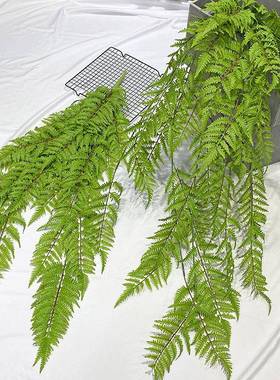 仿植物真波草壁挂屋顶造绿植装饰蕨类墙壁吊兰花清新斯绿色人草景