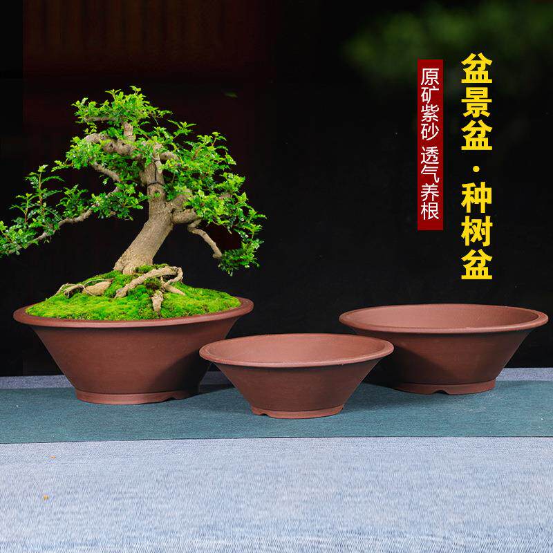 紫砂盆景花盆特价梅盆景用花盆仓大号花灵芝盆景陶专瓷63775697花