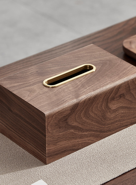 胡桃木纸巾c盒客厅轻奢高档抽纸盒家用茶几餐巾纸盒创意实木纸抽