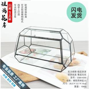 苔藓微观生态景雨林罩造景玻璃生缸359态瓶盒子家居摆件森林花盆