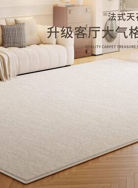 地毯积客厅大风面fyr16625全铺原木奶油免可擦卧室床边毯沙洗发加