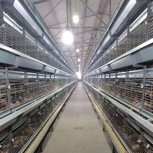 式青年鸡笼鸡多层阶梯蛋笼殖鸡笼子ZLT加粗养殖笼具养设备