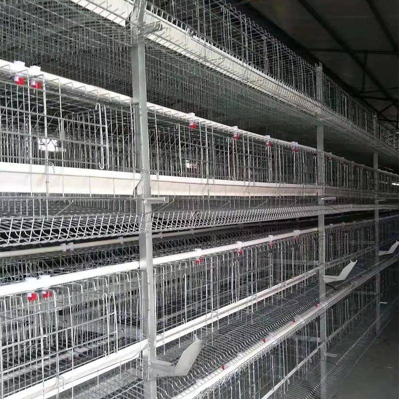 鸡笼SPO子鸡舍殖小层全自动叠蛋养鸡笼喂料鸡自动捡蛋集蛋鸡舍笼