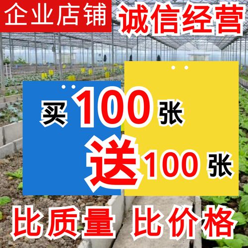 双面粘虫板e大棚诱虫黄蓝板灭飞蝇蛾果园茶树菜地蓟马胶黏贴纸黄