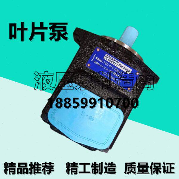 丹尼逊T6C 014/28/25/10/20/17/12/31/06/08 2R00/1R02 B1叶片泵