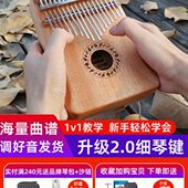 壁虎卡林巴箱式 21音拇指琴17音女生儿童礼物初学者乐器易学手指琴