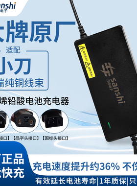 适配小刀电动车铅酸电池充电器60V72V20A三竖新国标品字头插口
