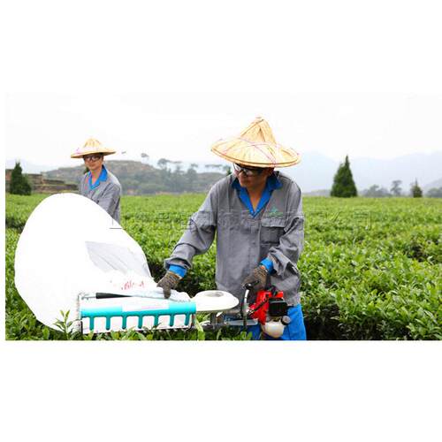 双人自动采茶机 小型便携式茶叶采摘机 钛合金刀片茶叶收割机
