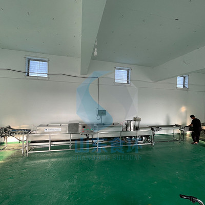 洗蛋机家禽蛋清洗机 养殖场鸡蛋清洗机 多功能多排鸡蛋鸭蛋清洗机