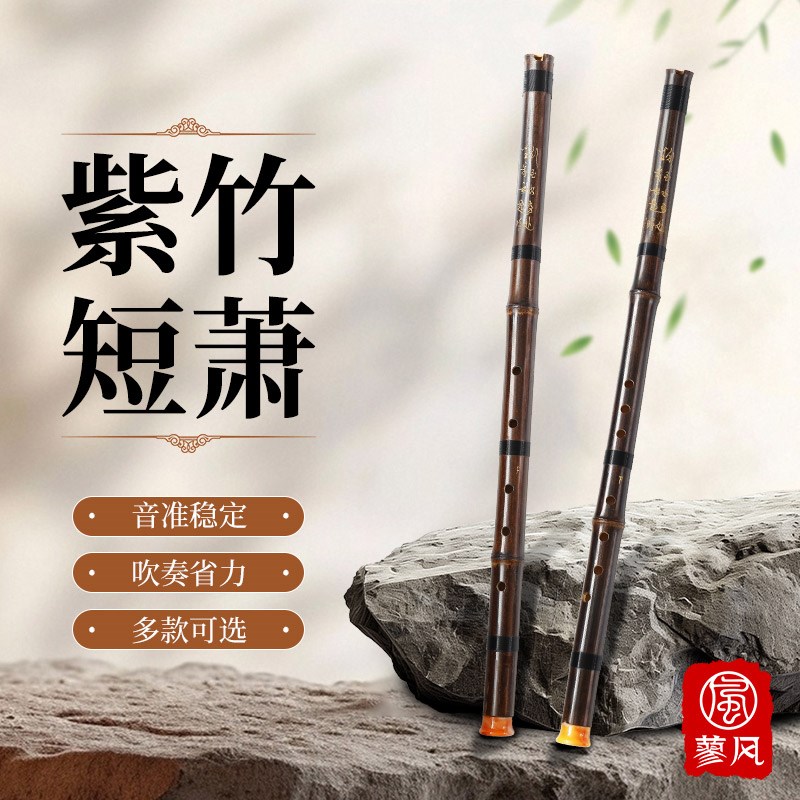 洞箫紫竹短箫初学入门G调F专业古风八8孔六6高档短萧Y笛潇民族乐