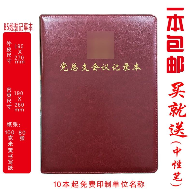 定制 党总支会议记录党小组支部委员I会三会一课党课党支部党日 - 实物图