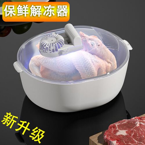 厨房冻肉类解冻j器食物解冻化冰机快速解冻保鲜盒牛排解冻除冰器