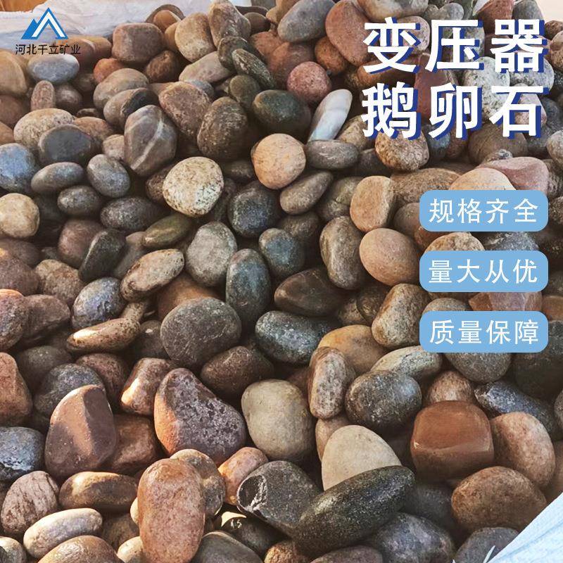 厂彩家直发变压器用鹅卵石建铺过滤园林造景636鱼缸路铺底色鹅基
