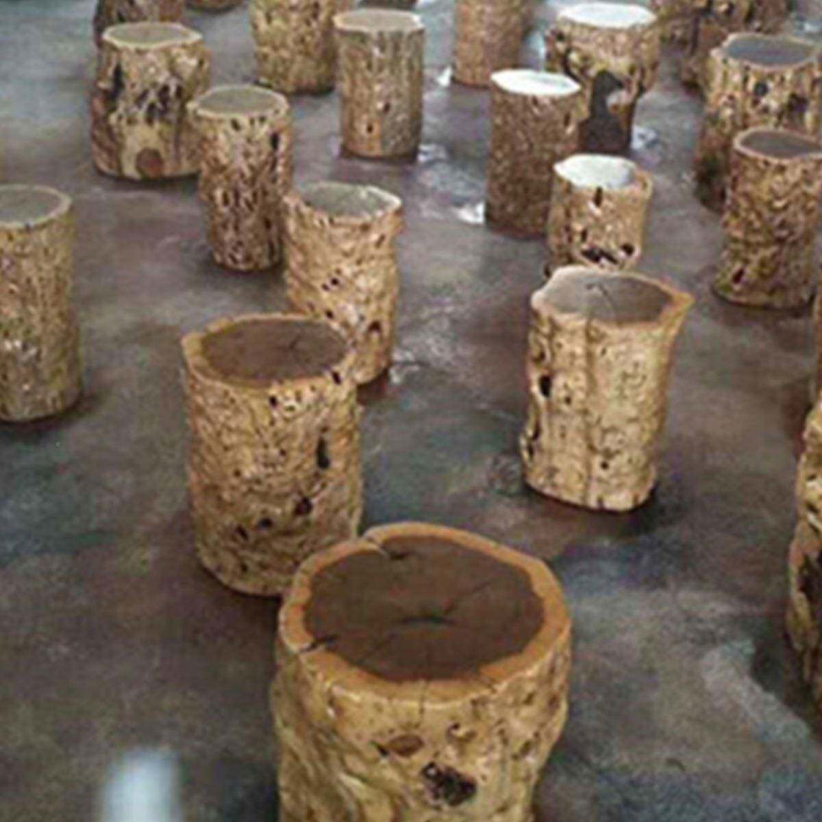 枣墩子原木树桩实木树墩55004根雕茶几茶凳子圆凳花架木艺术奇石