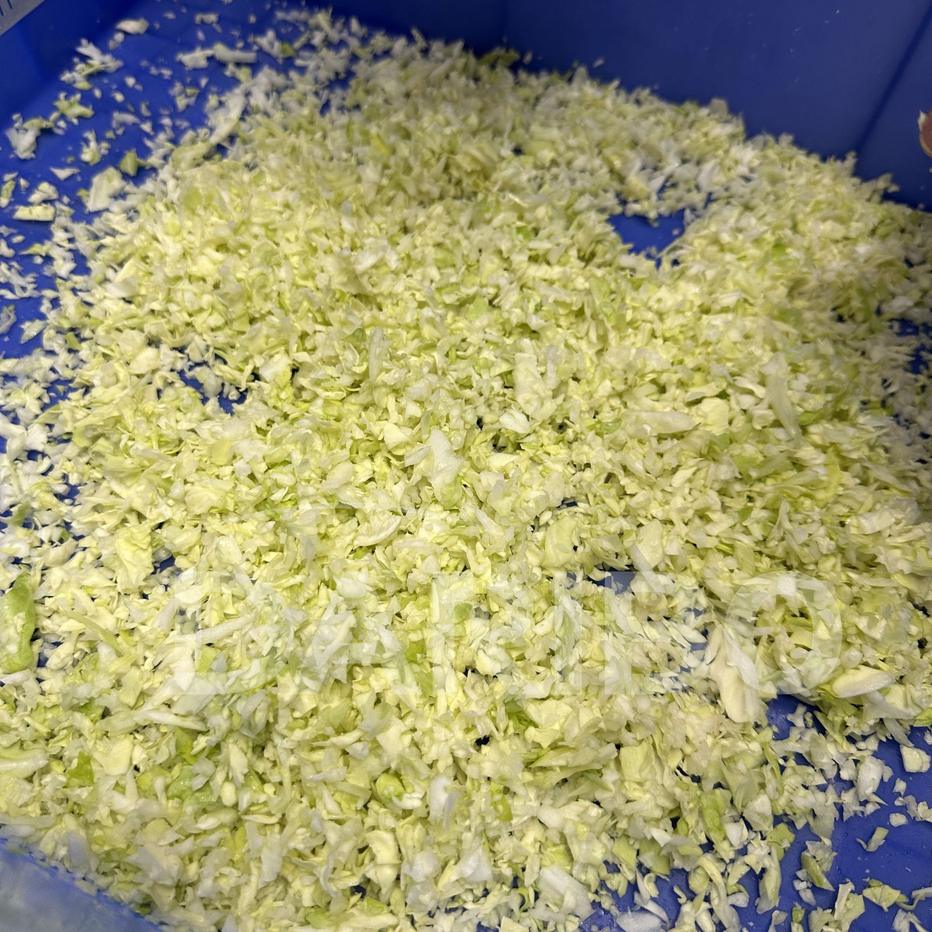 L商用型梅干菜辣白菜切馅机 不锈钢食品切菜机切碎机 蔬菜切碎机