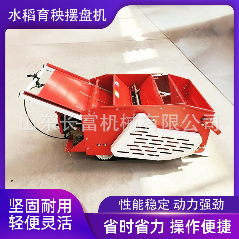 水稻育秧摆盘机自动电动汽油抛秧稻谷大棚覆土一体育苗秧盘播种机