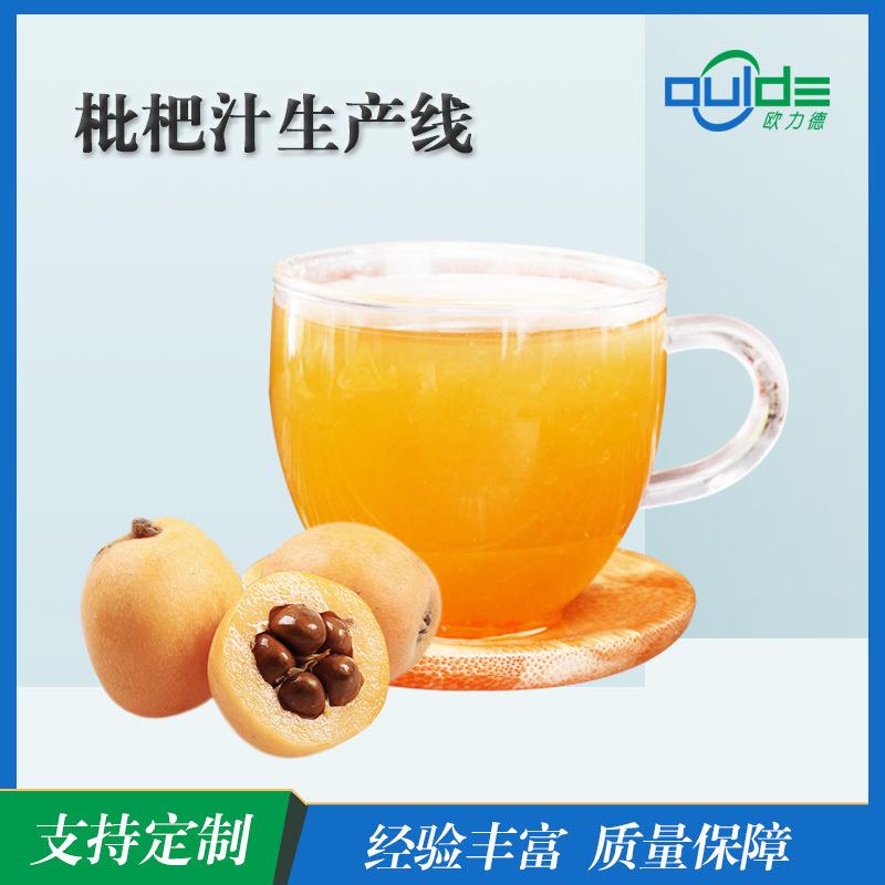 厂家供应成套大中小型果汁果酱枇杷清饮料汁生 产线 全自动设备