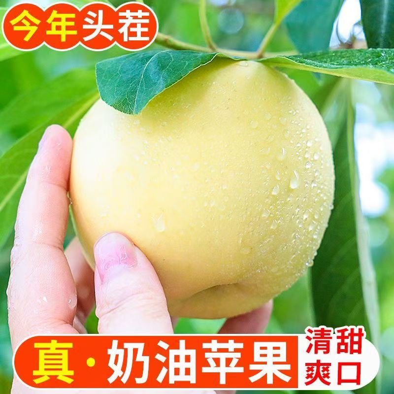 正宗富士奶油苹果香甜皮薄多汁苹果礼盒装可送礼新鲜当季水果