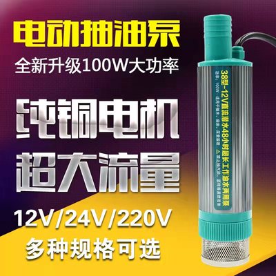 电动抽油泵12V柴油泵24V220v抽水泵3.9cm超细潜水两用自吸油抽子