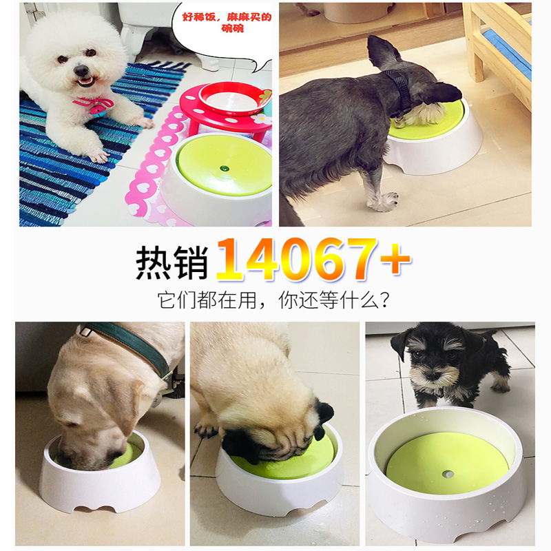 狗狗喝水器水盆不湿嘴饮水猫咪z水碗防溅防打翻漂浮力宠物狗碗狗