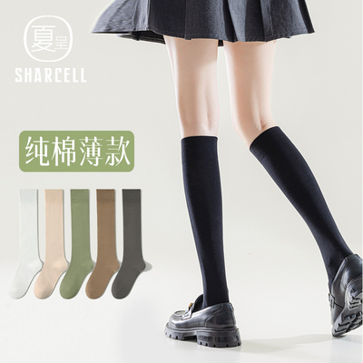 黑色小腿袜女春秋薄款纯棉及膝长袜中筒堆堆显瘦半筒袜秋季长筒袜