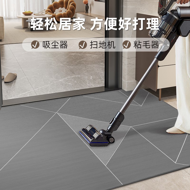入户门地垫进门高级感垫子进户门垫2025新款入户防滑耐脏脚垫地毯