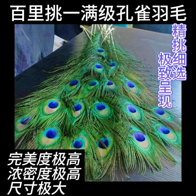 云南天然孔雀羽毛花瓶摆件客厅装饰超FA大眼孔雀翎真羽毛根根精选