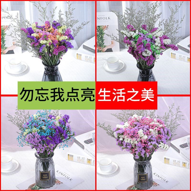 云南干花花c束天然勿忘我真花满天C星装饰摆件家居摆设客厅风干插