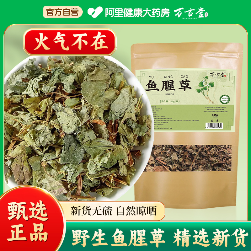 中华老字号野生鱼腥草干货中草药材新鲜折耳根鱼腥草茶泡水喝新货