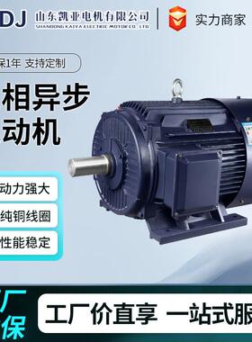 变频调速三相异步电动机YVF2全铜380v18.5/22/30/37/45/w电动机