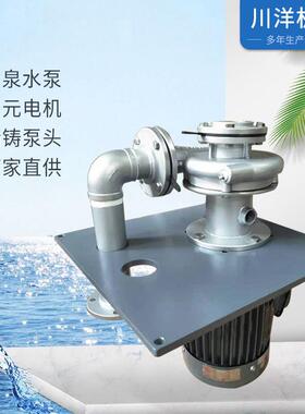 牌水泵厂家不锈钢双管立式液下泵东元立式SUS316长轴液下泵