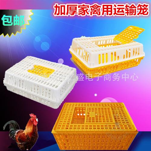 鸡用周转箱运输鸡笼成鸡鸭鹅鸽兔运输笼筐成鸡笼塑料周转筐框