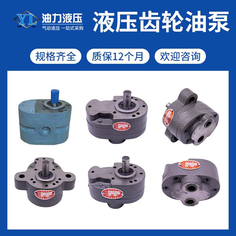 正反向电动油泵齿轮CB-B6RB10B16B32B63机床润滑输油泵液压齿轮泵