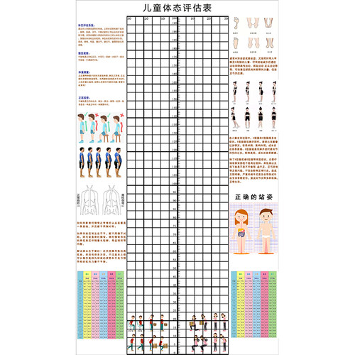 儿童身高体态评估表站姿体测网格壁画背景墙纸中小幼儿体测评估图