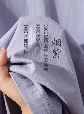 A类加厚磨毛床单单件纯棉1u00全棉单人学生宿舍纯色被单枕套三件