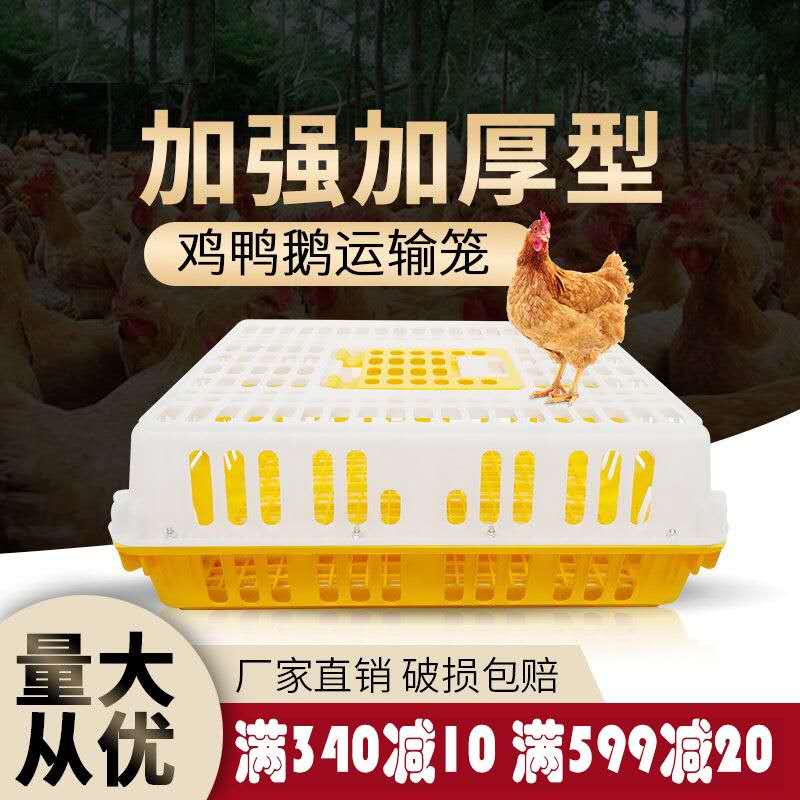 鸡笼周转箱 鸡笼子运输养殖塑料家用大号特大筐 成鸡鸭鹅鸽子兔笼