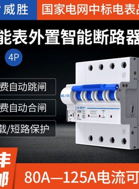 长沙威胜WS-125电表断路器 80A-125A 2P/4p自动跳闸断路器