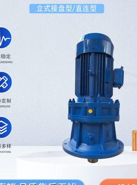 XLD4-43-1.1/1.5/2.2/3/4带电机摆线针轮减速机XLD4-43摆线减速机