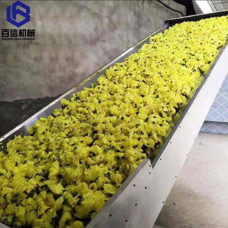 鲜花烘干机多层带式鲜花干燥机网带烘干设备生产厂家