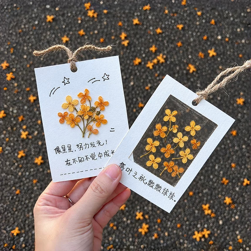 捡秋！银杏叶树叶桂花书签手工自制diy材料空白卡标本学生幼儿园