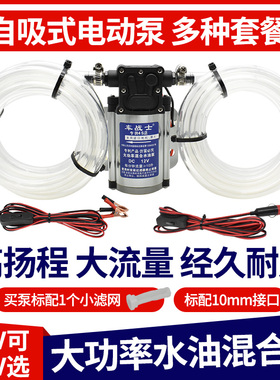 电动抽油泵抽油器12mv24V220V汽车油箱抽油泵汽油柴油自吸泵加油