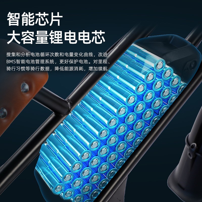 胖胎山地越野电动自行车沙滩车代步车锂电池助力变速自行车