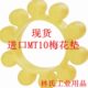 10瓣 联轴器梅花圈 梅花弹性缓冲垫ML10连轴胶 140 MT10 255